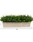 19" Eucalyptus Artificial Plant - From Where -