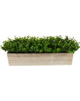 19" Eucalyptus Artificial Plant - From Where -