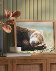 20" x 16" Bear Photography Framed Art - From Where -