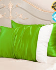 23mm 6A+ Zipper Mulberry Silk Pillowcases (Pack of 2) - From Where Finds -