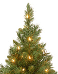24in Pre - Lit Majestic Fir Mini Christmas Tree - From Where Finds -