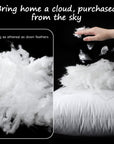 26" Down Pillow Insert (Set of 2) - From Where Finds -