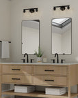 3 - Light Transitional Vanity light - From Where -