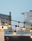 35ft Globe Outdoor String Lights - From Where -
