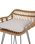 Lisa Outdoor Wicker Barstools with Cushions (Set of 2)