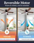 52'' Ceiling Fan with Light Kit - From Where -