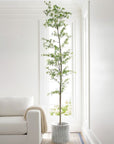 7'H Faux Black Olive Tree - From Where -