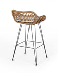 Lisa Outdoor Wicker Barstools with Cushions (Set of 2)