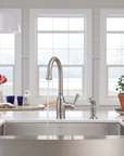 Noell One-Handle Kitchen Faucet