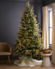 Fraser Fir Christmas Tree: Lit