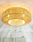 https://www.walmart.com/ip/HOOMEDELIER-20-Indoor-Gold-6-Speed-Boho-Rattan-Caged-Ceiling-Fan-with-Light-and-Remote-Control-Flush-Mount-Ceiling-Fan/17111523126
