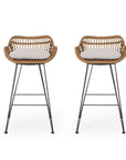 Lisa Outdoor Wicker Barstools with Cushions (Set of 2)