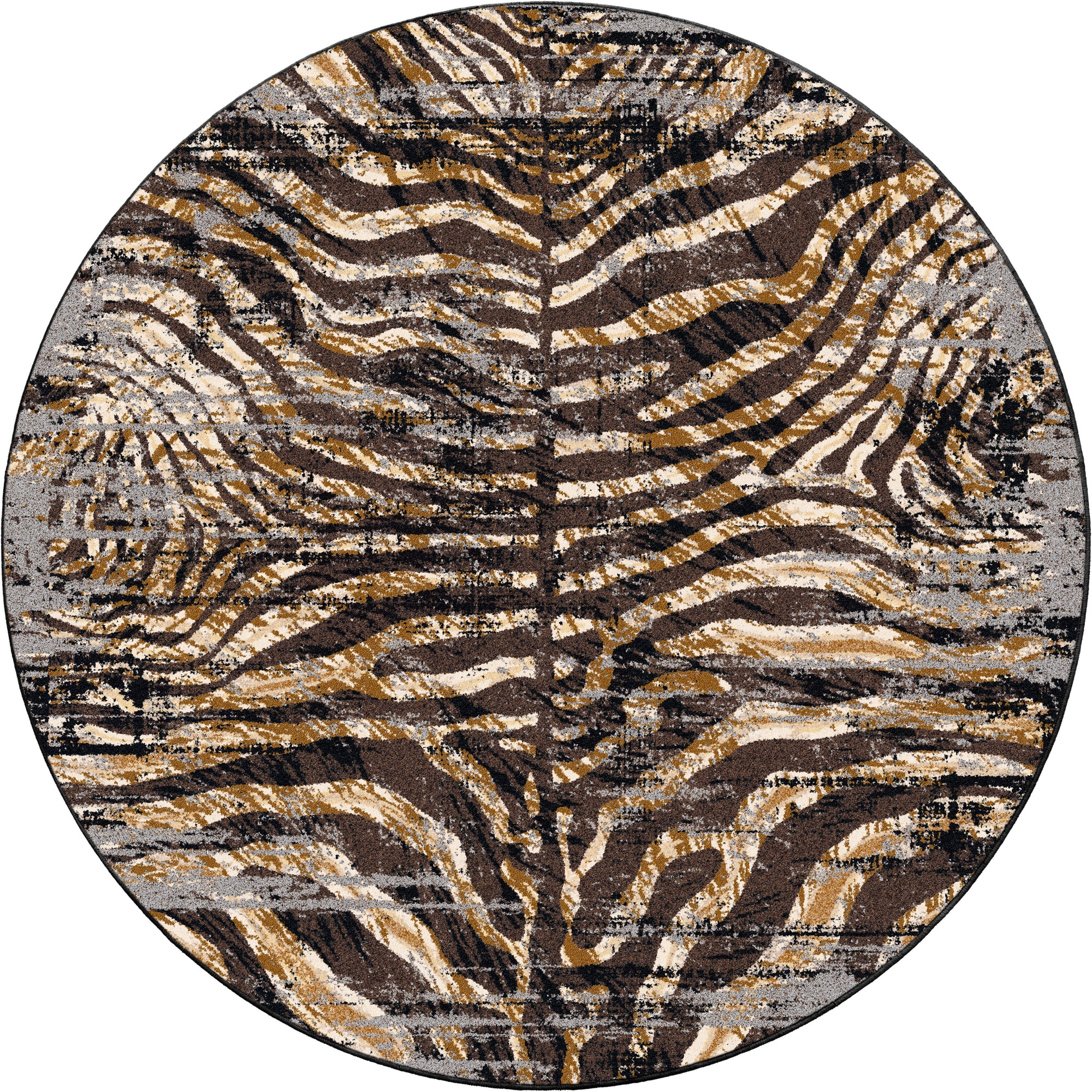 Midnight Zebra – Rawhide