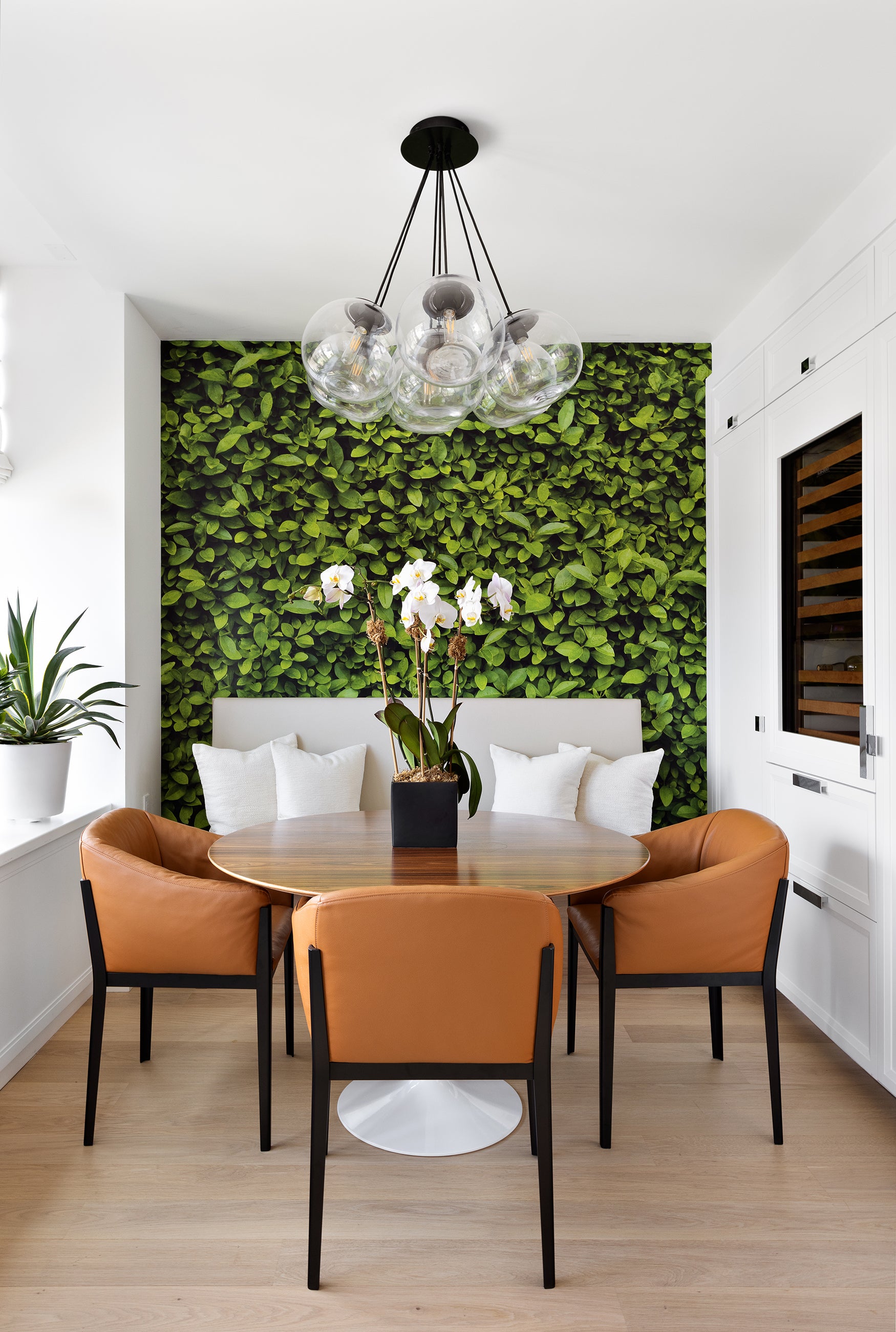 Design Image