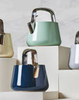 Stainless Steel Tea Kettle | Whistling Tea Kettle