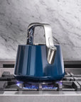 Stainless Steel Tea Kettle | Whistling Tea Kettle