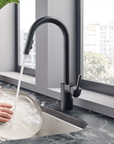 Align One - Handle High Arc Pulldown Kitchen Faucet - From Where Finds -