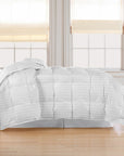 All - Season Feather and Down Comforter - From Where -