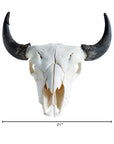 American Bison (Buffalo) Skull Wall Art - From Where -