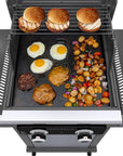 Amplifire Stainless Steel 2 - Burner Grill - From Where -