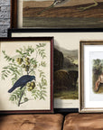 Antique Bird Framed Painting - From Where -