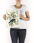 Antique Bird Framed Painting - From Where -