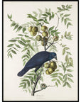 Antique Bird Framed Painting - From Where -