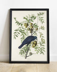 Antique Bird Framed Painting - From Where -