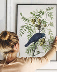 Antique Bird Framed Painting - From Where -