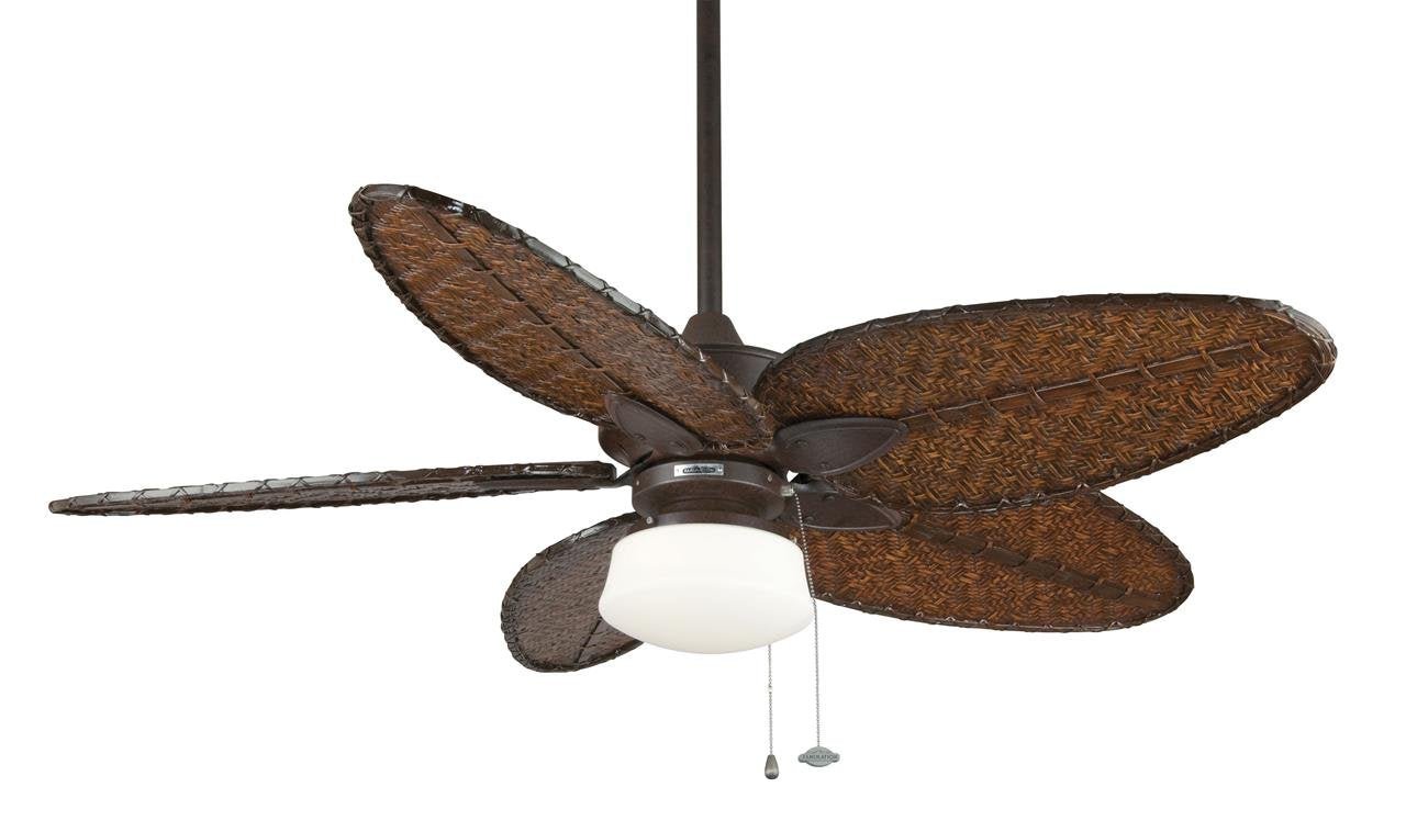 Antique Narrow Oval Ceiling Fan - From Where -
