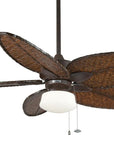 Antique Narrow Oval Ceiling Fan - From Where -