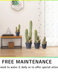 Artificial 24" Cactus - From Where -