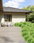 Artificial Boston Fern Greenery - From Where -