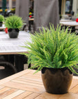 Artificial Boston Fern Greenery - From Where -