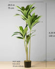 Artificial Dracaena Fragrans Potted Plant - From Where -