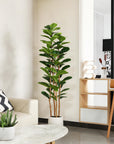 Artificial Fiddle Leaf Fig with White Planter - From Where -