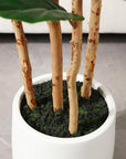 Artificial Fiddle Leaf Fig with White Planter - From Where -