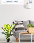 Artificial Golden Dieffenbachia Plant - From Where -