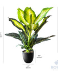 Artificial Golden Dieffenbachia Plant - From Where -