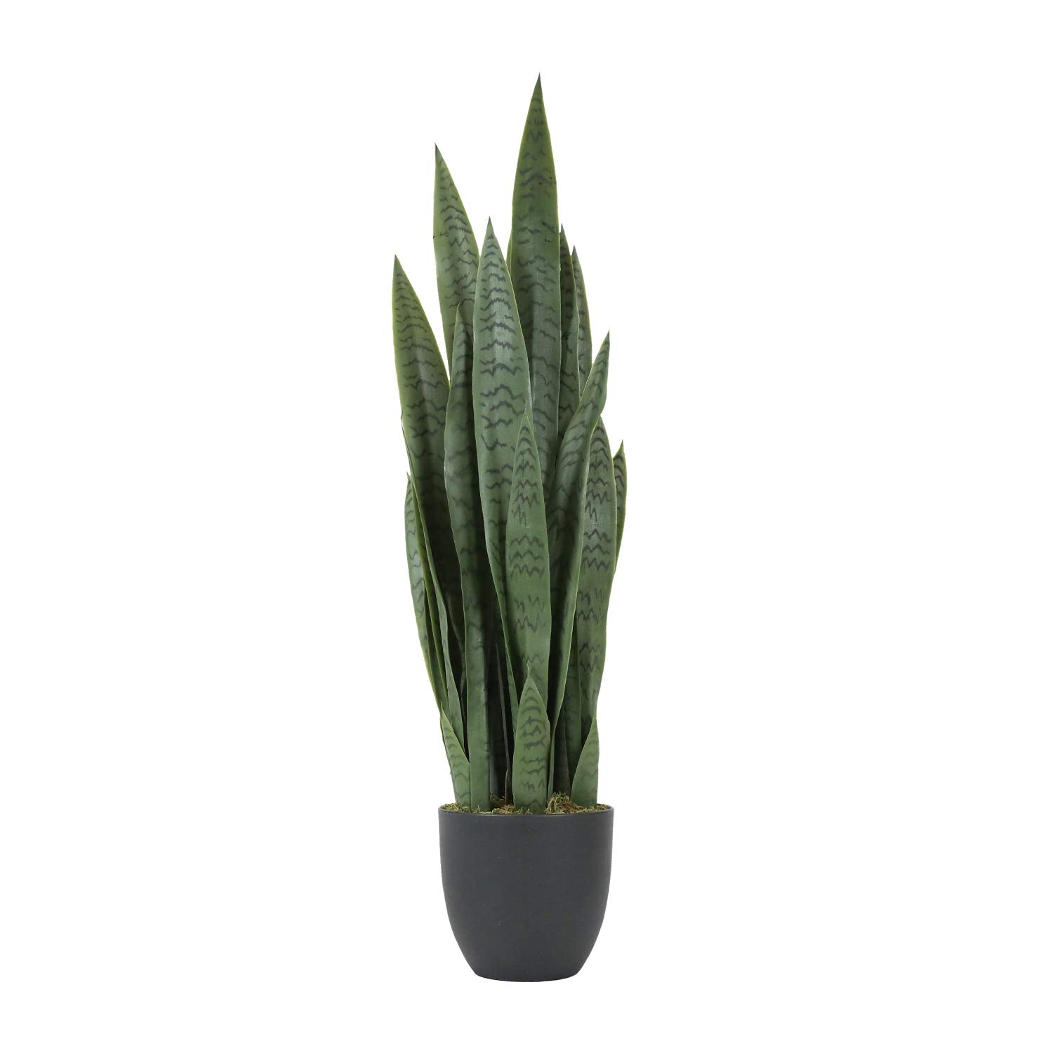 flushing plants Plant Flush main image 0