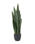 Artificial Indoor/Outdoor Snake Plant - From Where -