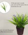 Artificial Monkey Grass with Flowers - From Where -