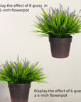 Artificial Monkey Grass with Flowers - From Where -
