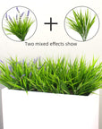 Artificial Monkey Grass with Flowers - From Where -