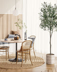 Artificial Olive Potted Tree 6ft Tall - From Where -