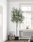 Artificial Olive Potted Tree 6ft Tall - From Where -