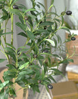 Artificial Olive Potted Tree 6ft Tall - From Where -