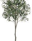 Artificial Olive Potted Tree 6ft Tall - From Where -