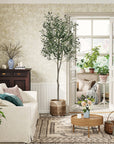 Artificial Olive Potted Tree 6ft Tall - From Where -