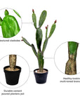 Artificial Potted Cactus - From Where -